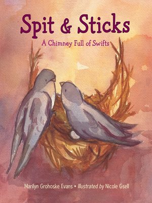 cover image of Spit & Sticks